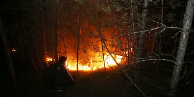 Kastamonu'da ormanlık alanda çıkan yangın kontrol altına alındı