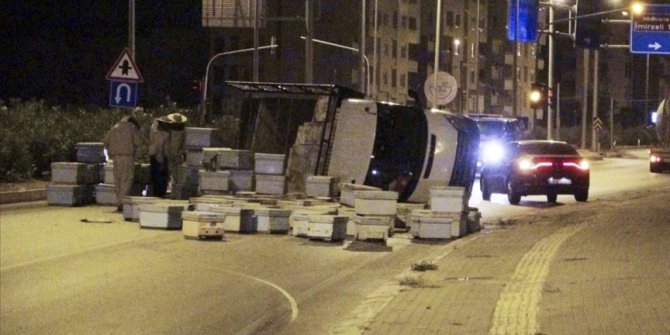 Mersin'de arı kovanı taşıyan kamyon kaza yapınca arılar etrafa saçıldı