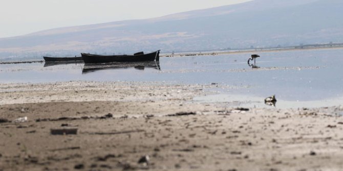 Nilüferleriyle ünlü Işıklı Gölü'nde tehlike çanları: Suyu 300 metre çekildi