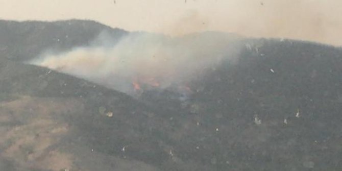 Bergama'da orman yangını