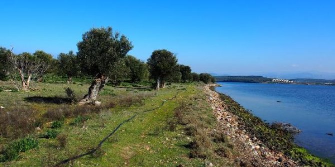 Hissedar Şerif Ali Hatırlı: Çiçek Adası satılık değil