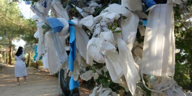 Zeus Altarı'nda 'dilek ağaçları' tıbbi maskelerle doldu