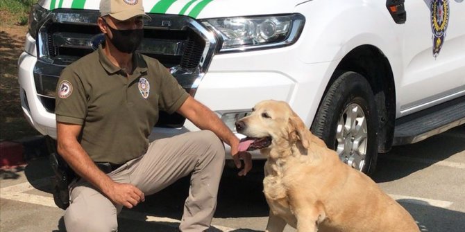 'Çevre, Doğa ve Hayvanları Koruma' polisleri Adana'da göreve başladı
