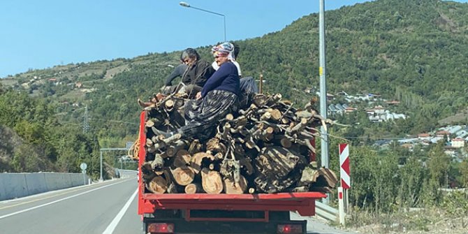 Odun yüklü kamyonette tehlikeli yolculuk