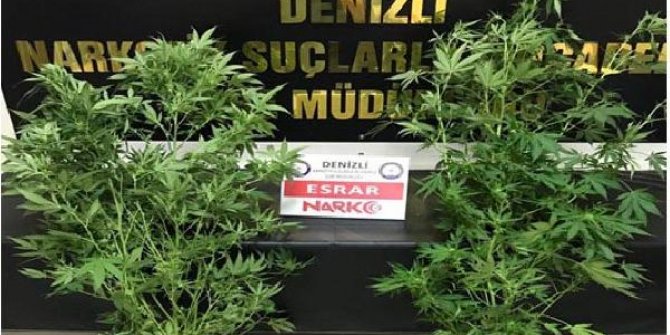 Denizli'de uyuşturucu ticaretine 16 tutuklama