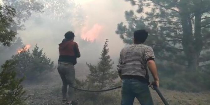Kütahya’da orman yangını