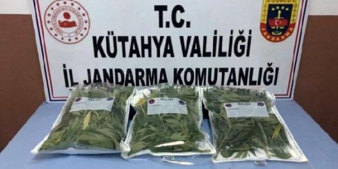 Otomobilde 1 kilo 600 gram esrarla yakalandı