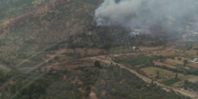 Aydın'da zeytinlik alanda yangın: 2 yaralı