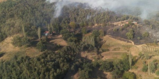 İzmir'de, ormanlık alanda çıkan yangın kontrol altına alındı