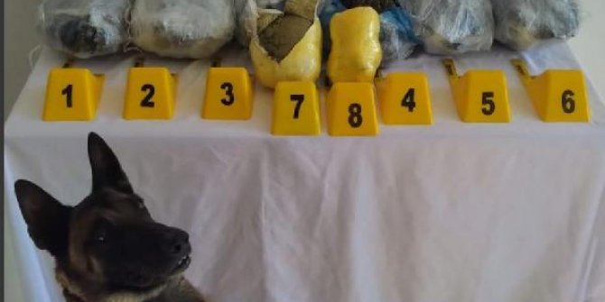 Bingöl'de otomobilde 8 kilo esrar ele geçirildi: 6 gözaltı