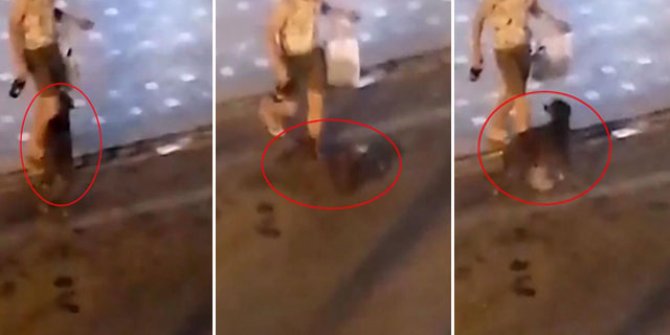 Alkollü turist, önce ATM'yi sonra sokak köpeğini tekmeledi
