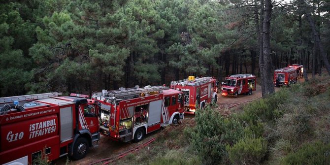 Kartal'da ormanlık alanda çıkan yangın kontrol altına alındı