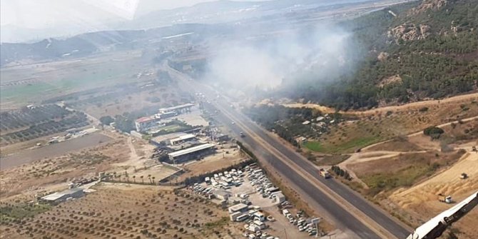 İzmir'de orman yangını çıktı