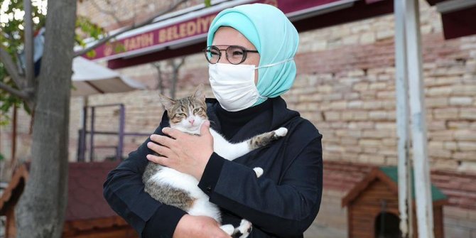 Emine Erdoğan'dan 'Hayvanları Koruma Günü' paylaşımı