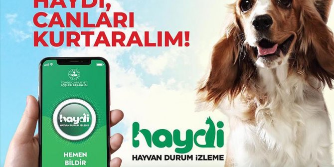 'HAYDİ' uygulaması sayesinde 1649 asıllı ihbara müdahale edildi