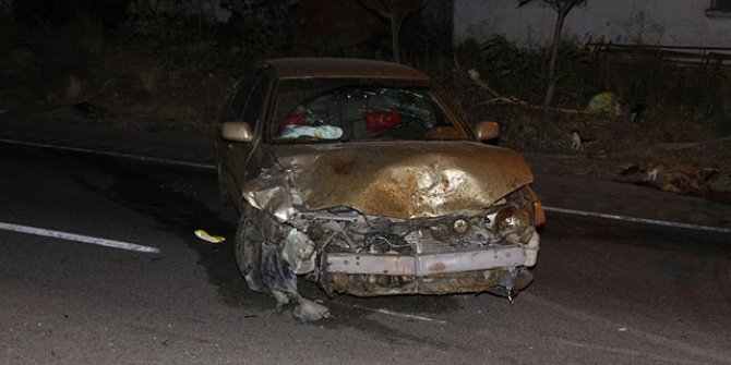 Manisa'da iki otomobil D300 kara yolunda koyun sürücüne daldı: 7 yaralı, 15 koyun öldü