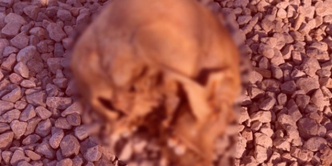 Köpeklerin bulduğu kafatası olayında 4 gözaltı
