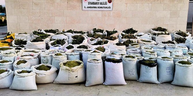 Yıldırım-7 Operasyonu'nda 2 ton 628 kilo esrar, 826 bin kök Hint keneviri ele geçirildi