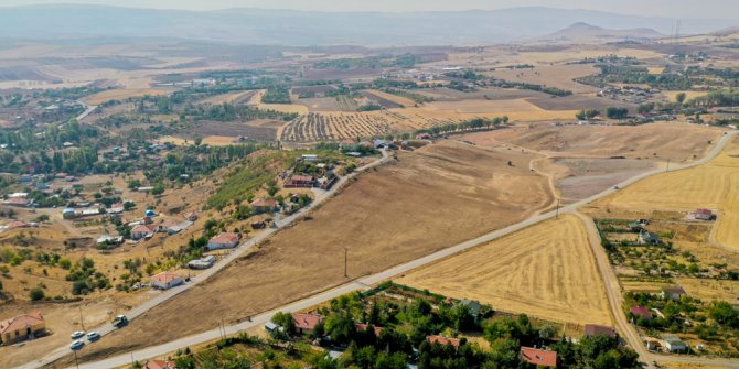 Ankara'ya ıhlamur ormanı