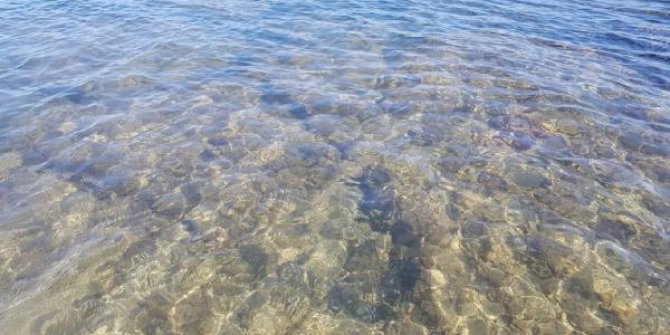 Didim'de su altında 5 bin yıllık liman bulundu