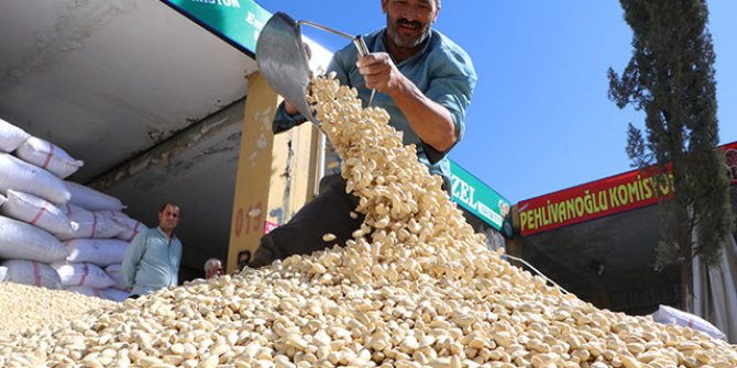 Şanlıurfa'da fıstıkları koyacak yer kalmadı