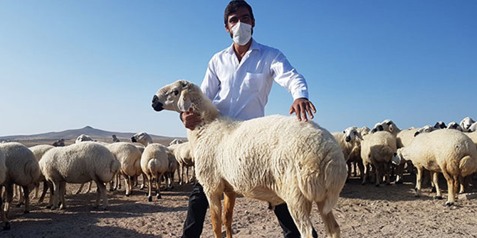 Müdürlüğü bıraktı, çiftçi desteğiyle sürü sahibi oldu