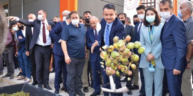 Bakan Pakdemirli: 29 bin ton üzüm aldık, 303 milyon lira ödeme yaptık