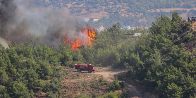 Hatay'daki orman yangınları kontrol altına alındı