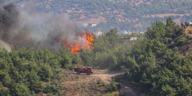 Terör örgütü YPG/PKK, Hatay'daki orman yangınını propaganda çalışmasına dönüştürdü