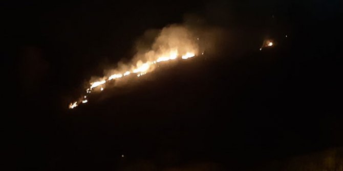 Trabzon'da örtü yangını