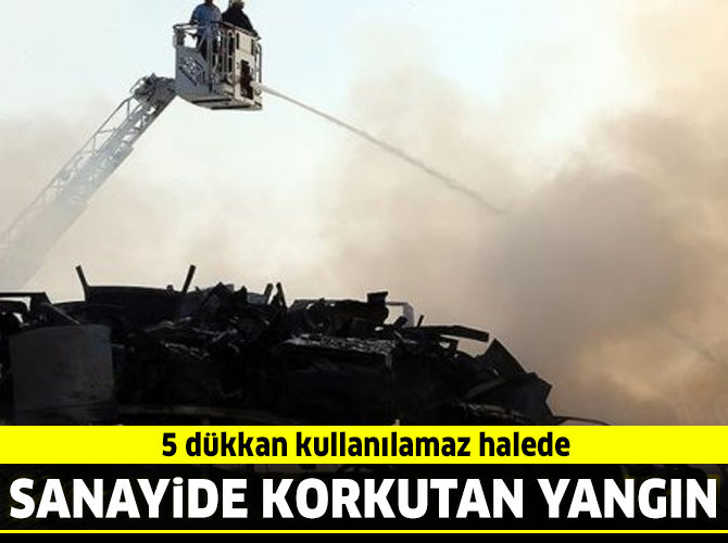 Hatay'daki yangınla ilgili son dakika gelişmesi: Tutuklandılar