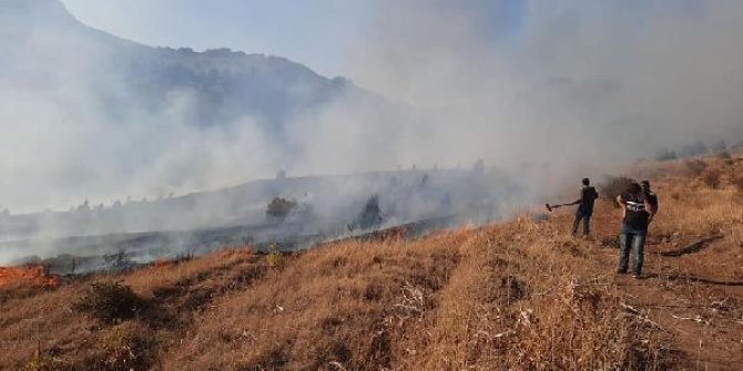 Kayseri'de orman yangını