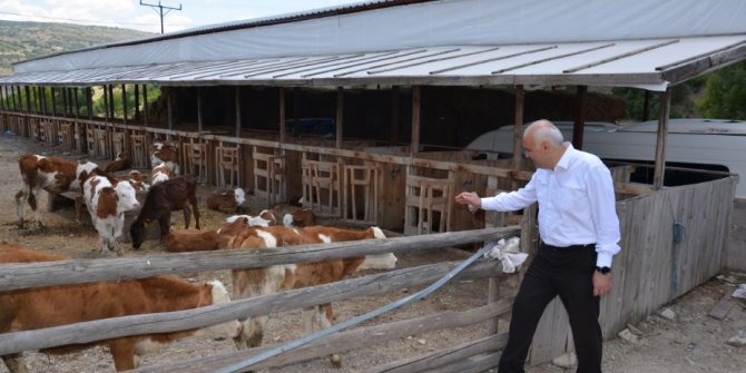 Kızılcahamam da başvurdu