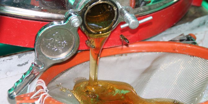 2 ton üretilen Anzer balı, kilosu bin liradan satışa çıkarıldı