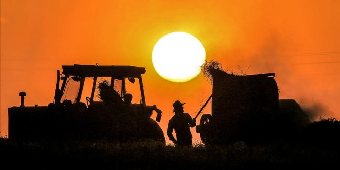 Danıştay'dan Çiftçi Malları Koruma Başkanlığı sisteminden ayrılmak isteyen çiftçileri ilgilendiren karar
