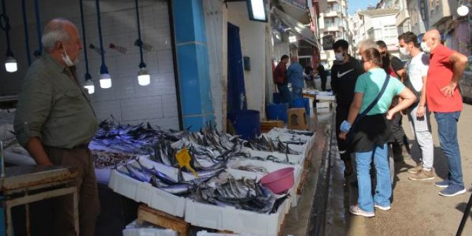 Sinop'ta tezgahlarda palamudun yerini hamsi almaya başladı