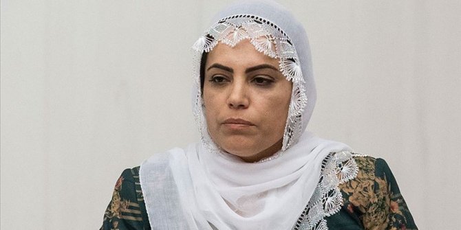 HDP'li milletvekilinden Diyarbakır annelerine hakaret