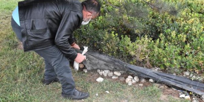 Sürücülerden aldıkları paraları refüjdeki brandanın altına saklarken yakalandılar