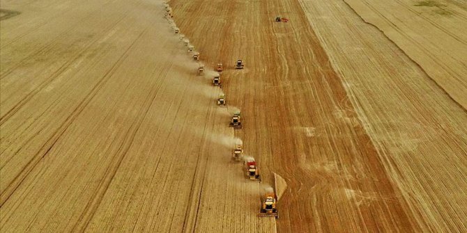 Buğday, arpa ve mısır ithalatında gümrük vergisi geçici olarak sıfırlandı