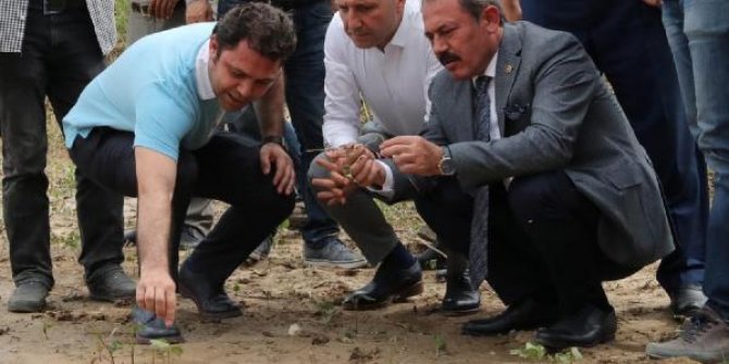 Denizli'de afetzede çiftçilerin yaraları sarıldı
