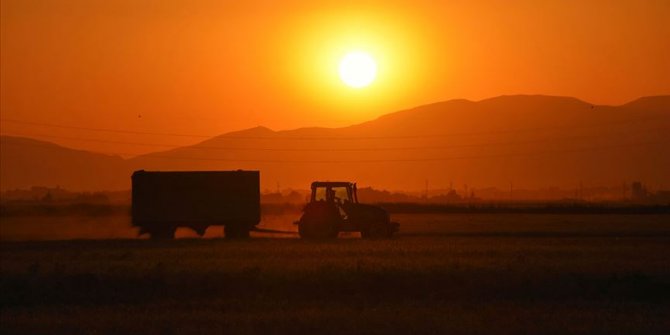 26 ova 'büyük ova koruma alanı' olarak belirlendi