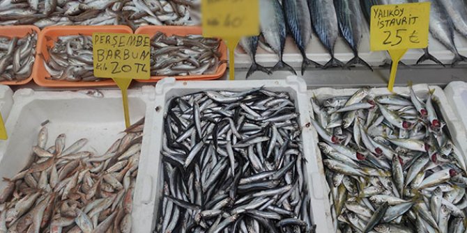 Ordu’da hamsinin fiyatı şaşırttı
