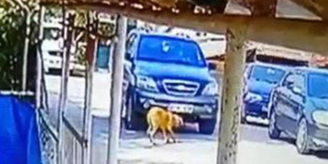 Köpeği ezip yoluna devam eden cip sürücüsüne mahalleliden tepki
