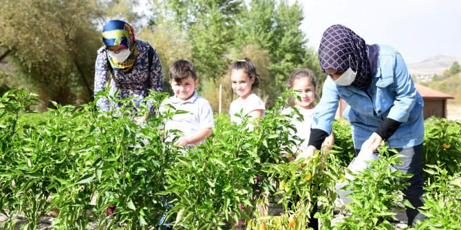 Halka açıldı - Bağa gel bostana gel