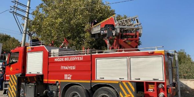 Ceviz toplamak için çıktığı ağaçta akıma kapılarak öldü