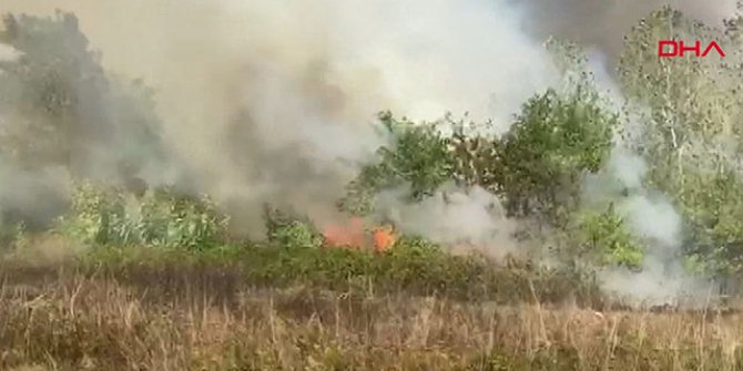 Samsun’da orman yangını, 4 noktadan müdahale ediliyor