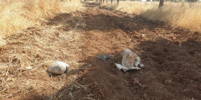 Ceylanpınar’da, yol kenarında 8 kilo patlayıcı bulundu
