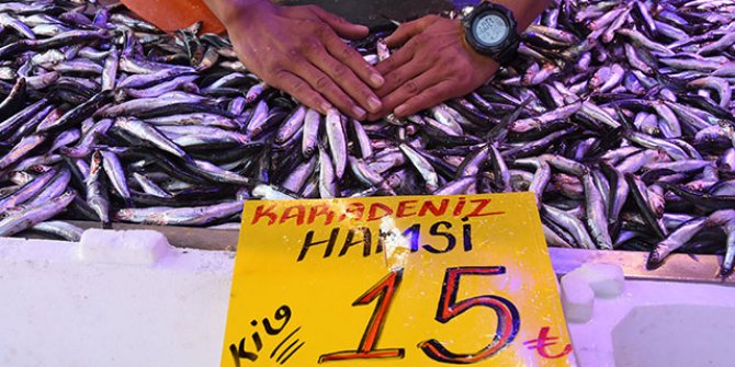 Eskişehir’de hamsinin kilosu 15 liraya düştü