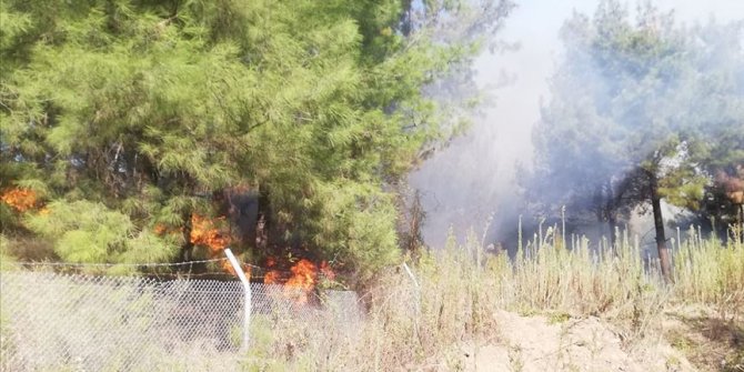 Hatay'da çıkan orman yangınına müdahale ediliyor