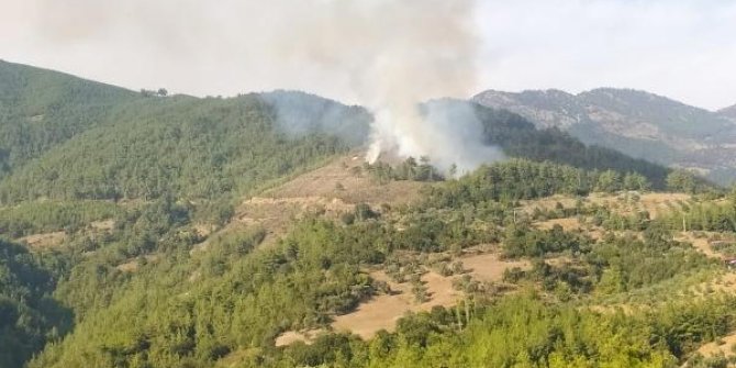 Kozan'da orman yangını